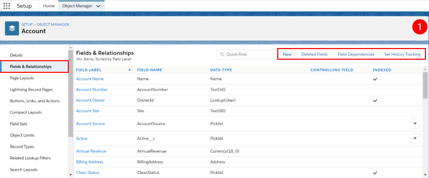Customize your Salesforce Org - 1