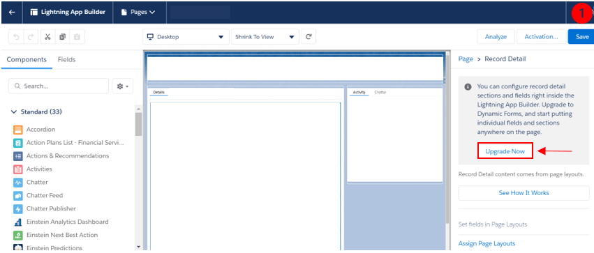 Break Up Record Details with Dynamic Forms - 1