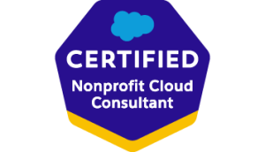 cert badge.Certified.Nonprofit.Cloud .Consultant 1