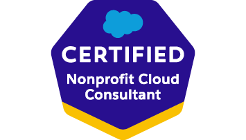 cert badge.Certified.Nonprofit.Cloud .Consultant 1